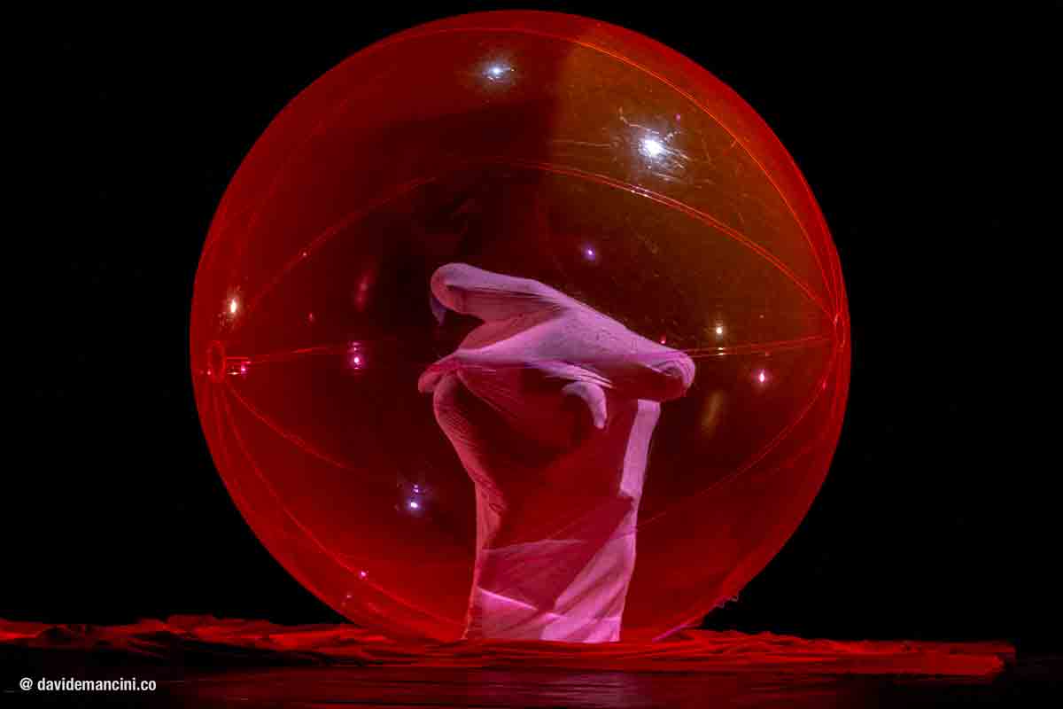 Arenile Dance Festival Arenile Dance Festival