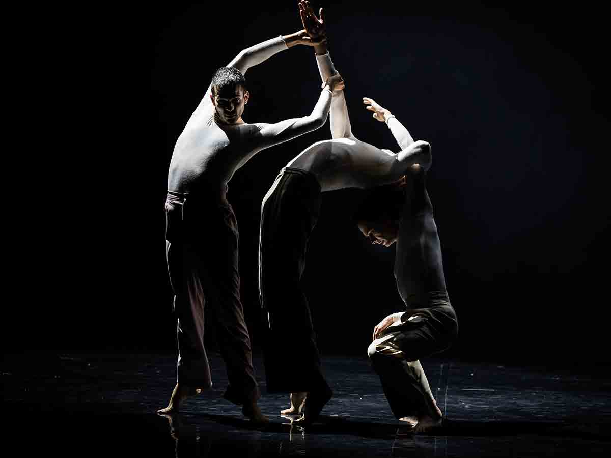 Spettacoli, performance site specific e incursioni urbane per la IV edizione di Paesaggi del Corpo Festival Internazionale Danza Contemporanea Spettacoli, performance site specific e incursioni urbane per la IV edizione di Paesaggi del Corpo Festival Internazionale Danza Contemporanea