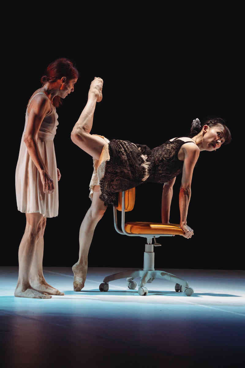 Salerno Danza Festival, dal 19 al 21 luglio: quattro performance in tre giorni al Giardino degli Ulivi di Ascea Ersilia Danza - Coppelia