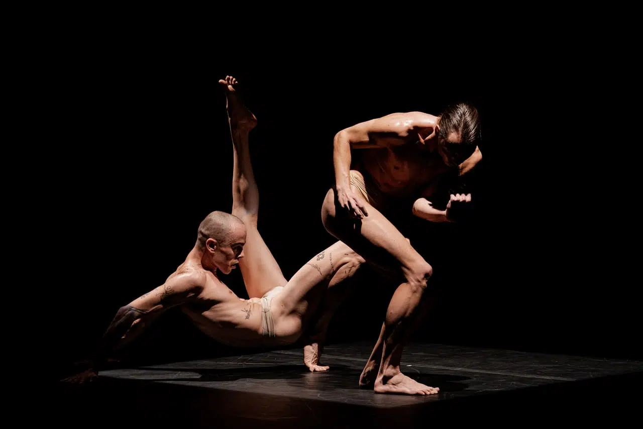 Il meglio della Danza Contemporanea della regione in scena al Maurensig Tripofobia