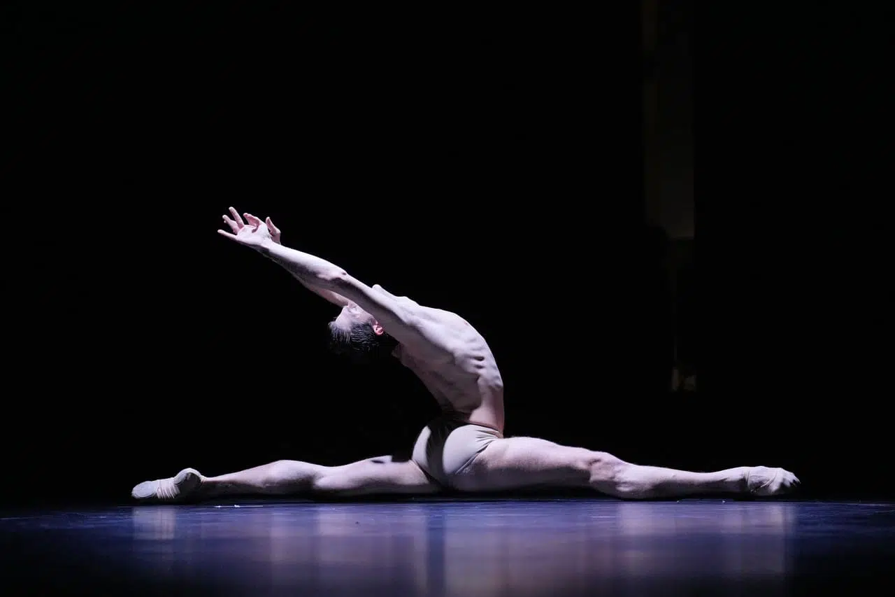 DanzaInFiera cresce:
quasi 20.000 le presenze totali,
oltre il 10% in più rispetto al 2024 Dance Beyond - The Gala - Sergio Bernal - The Swan